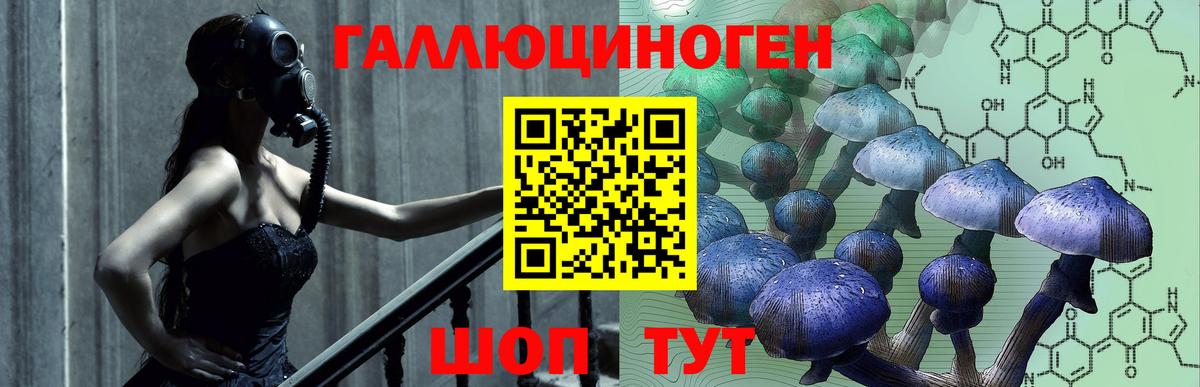 закладки  Вход с VPN  Псилоцибиновые грибы GOLDEN TEACHER  Сорочинск  Псилоцибиновые грибы прущие грибы 